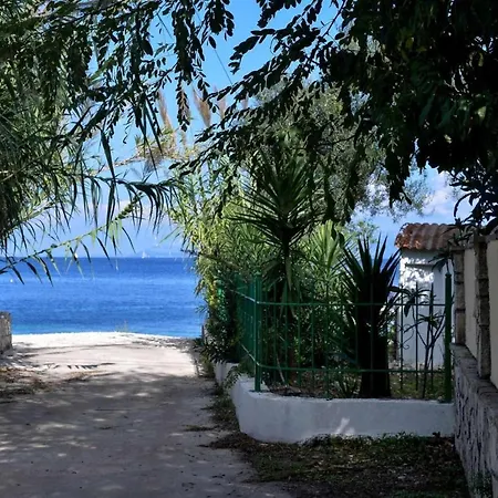 The Beach House Vila *